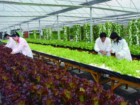 邁世努力促進(jìn)智慧農(nóng)業(yè)，實(shí)現(xiàn)新業(yè)態(tài)