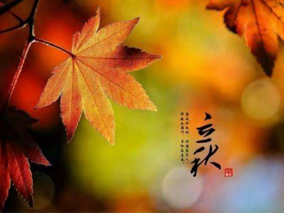 秋來了，莫慌！智慧主機依舊值得推薦的